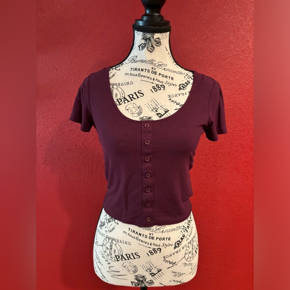 Empyre Burgundy Ribbed Short Sleeve Crop Top